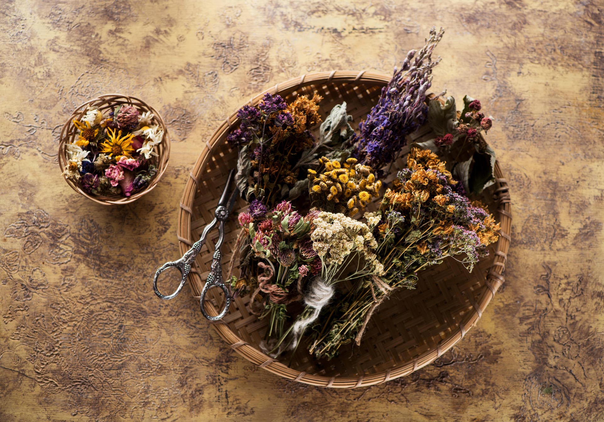 Ročné členstvo v Bylinkovej apatieke